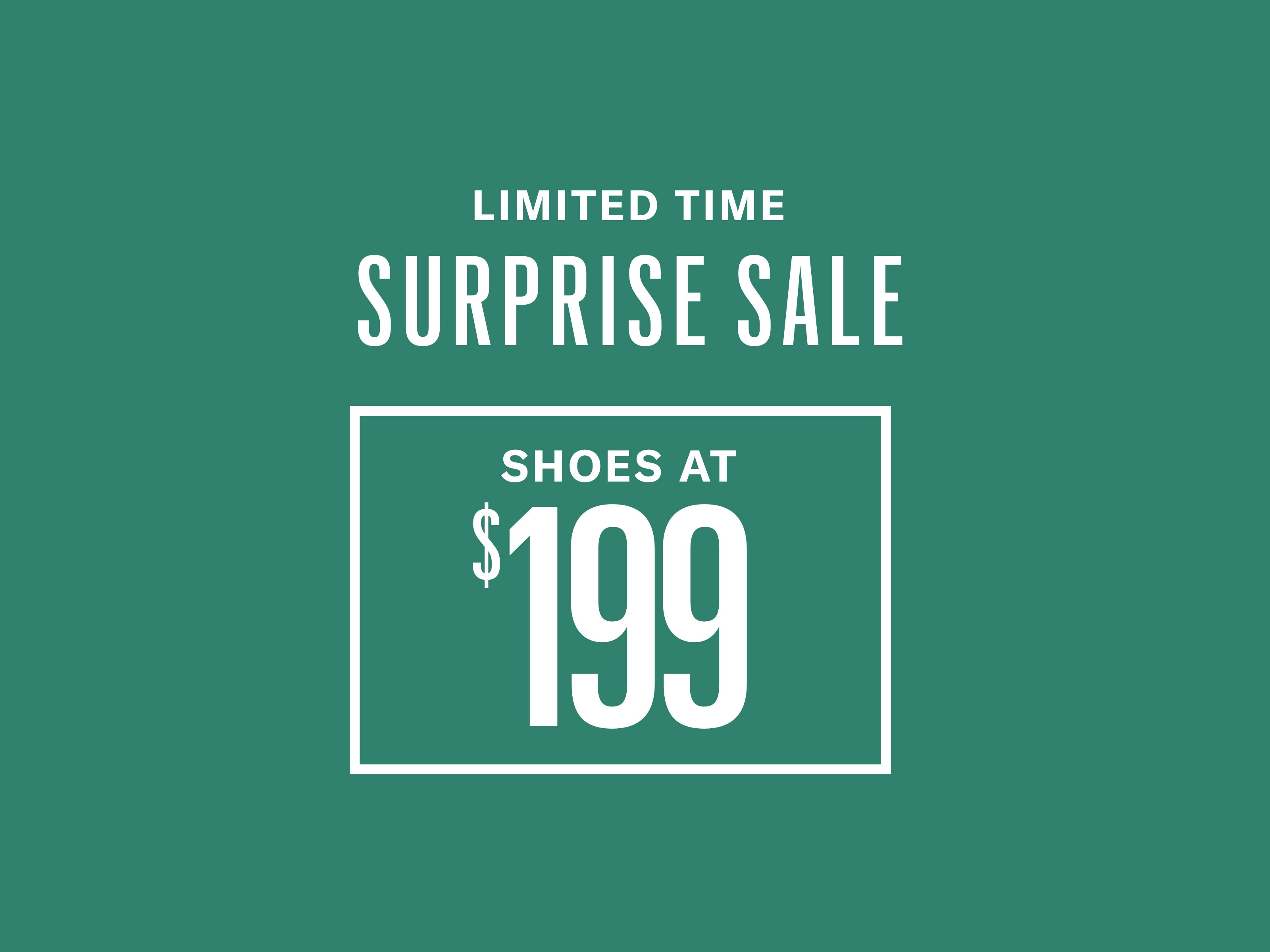 Limited Time | Surprise Sale | Shoes at $199