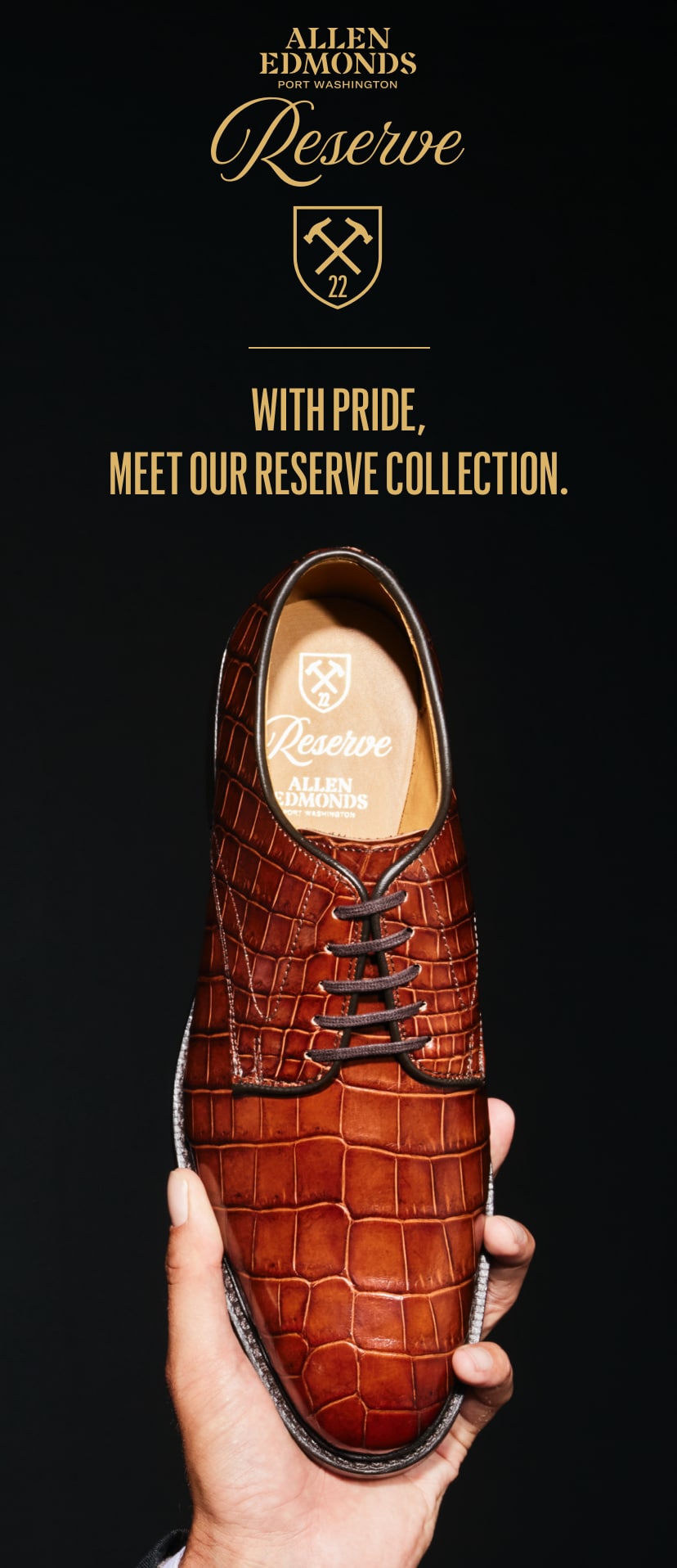 貴重!!【極美品】Allen Edmonds 最高級 コードバン US7 貴重!!【極美品】Allen Edmonds 最高級 コードバン US7 Men's Dress