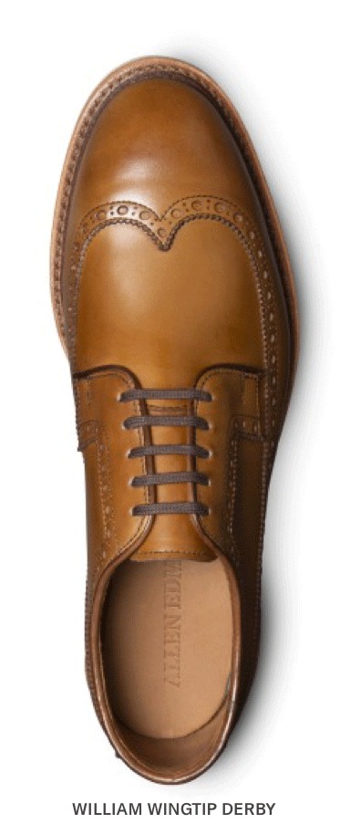 William Wingtip Derby