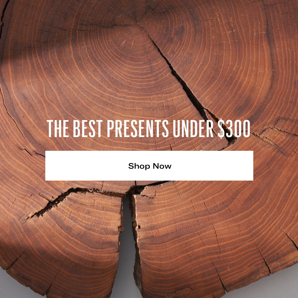 The Best Presents under $300