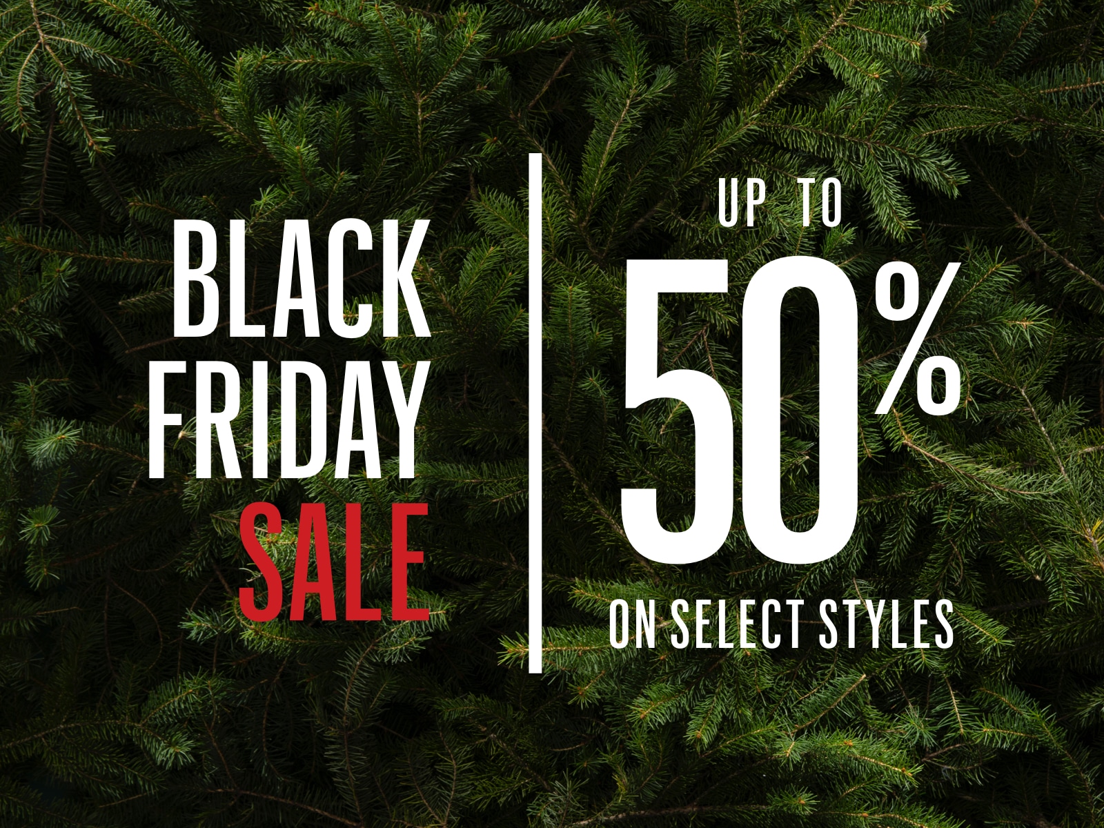 Black Friday Starts Now - Save up to 50%