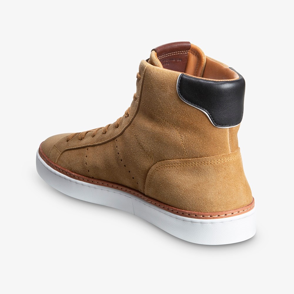 Alpha High top Lace up Sneaker